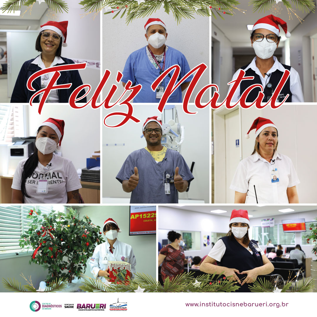 Desejamos A Todos Um Feliz Natal Instituto Cisne Barueri